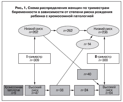 Схема расределения женщин по триместрам беременности в зависимости от степени риска рождения ребенка с хромосомной патологией
