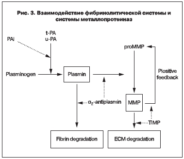 Взаимодействие фибринолитической системы и системы металлопротеиназ