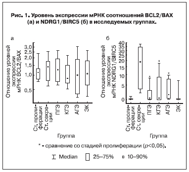 Уровень экспрессии мРНК соотношений BCL2/BAX (a) и NDRG1/BIRC5 (б) в исследуемых группах
