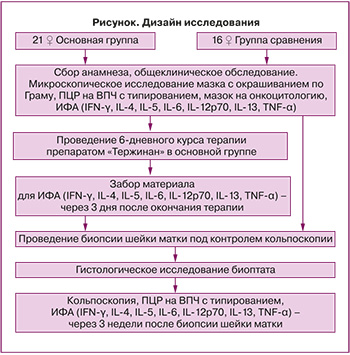 Вирус папилломы человека (ВПЧ) с определением типа (16, 18, 31, 33, 35, 39, 45, 52, 56, 58, 59, 66)