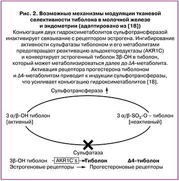 36-1.jpg (52 KB)