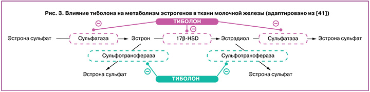 38-1.jpg (42 KB)