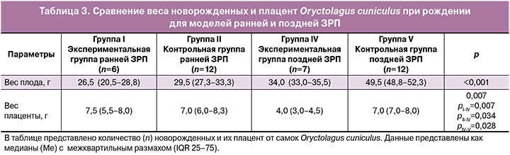 62-1.jpg (62 KB)
