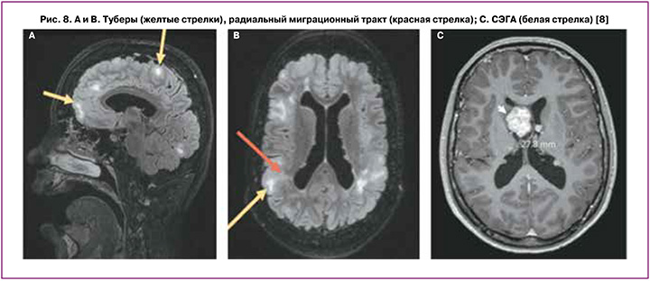 183-1.jpg (69 KB)