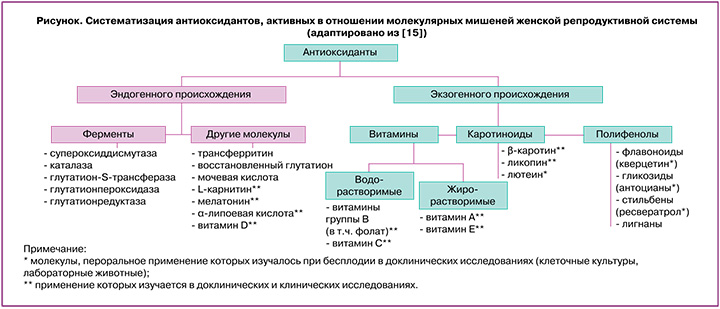 24-1.jpg (74 KB)