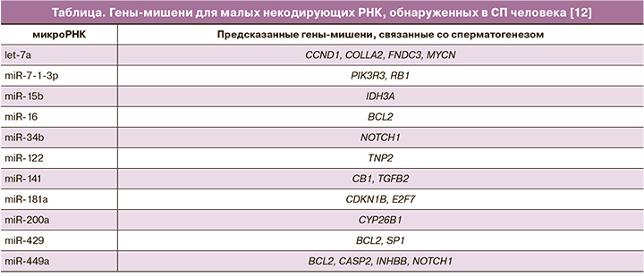 36-1.jpg (65 KB)