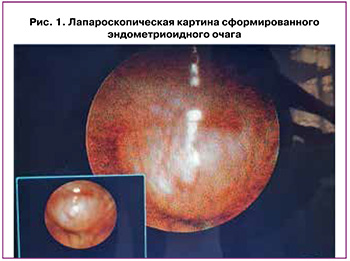 134-1.jpg (35 KB)