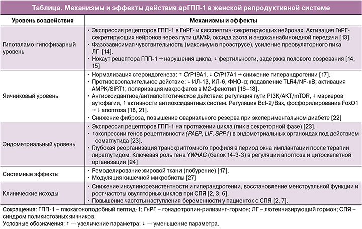 41-1.jpg (156 KB)