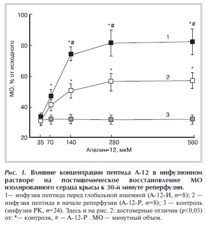 Влияние концентрации пептида А 12 в инфузионном растворе на постишемическое восстановление МО изолированного сердца крысы к 30 й минуте реперфузии