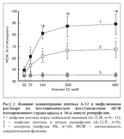 Влияние концентрации пептида А 12 в инфузионном растворе на постишемическое восстановление ИСФ изолированного сердца крысы к 30 й минуте реперфузии