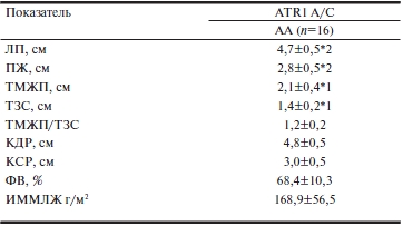 Эхокардиографические показатели и полиморфизм A/C гена ATR1 при ГБ+ГЛЖ