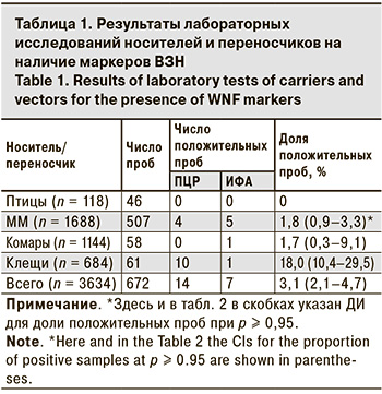 33-1.jpg (74 KB)