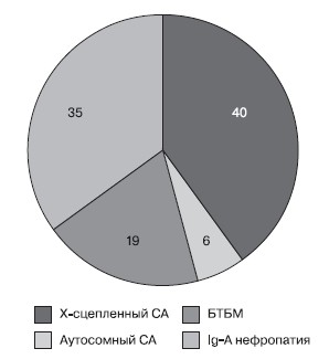 Рисунок 2. Структура гломерулярной гематурии у детей в российской популяции (n=57), %.