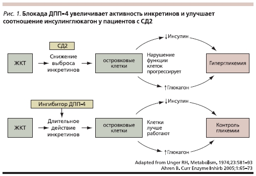 Блокада ДПП-4 увеличивает активность инкретинов и улучшает соотношение инсулинглюкагон у пациентов с СД2