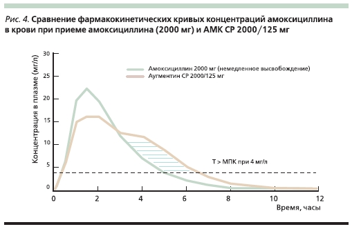Сравнение фармакокинетических кривых концентрации амоксициллина в плазме крови при приеме амоксициллина (2000 мг) и АМК СР 2000/125 мг 