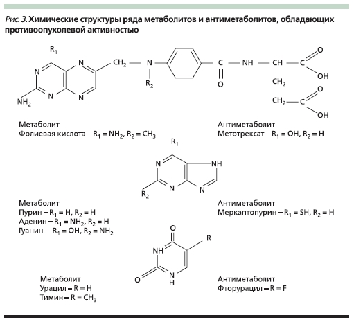 Химические структуры ряда метаболитов и антиметаболитов, обладающих противоопухолевой активностью