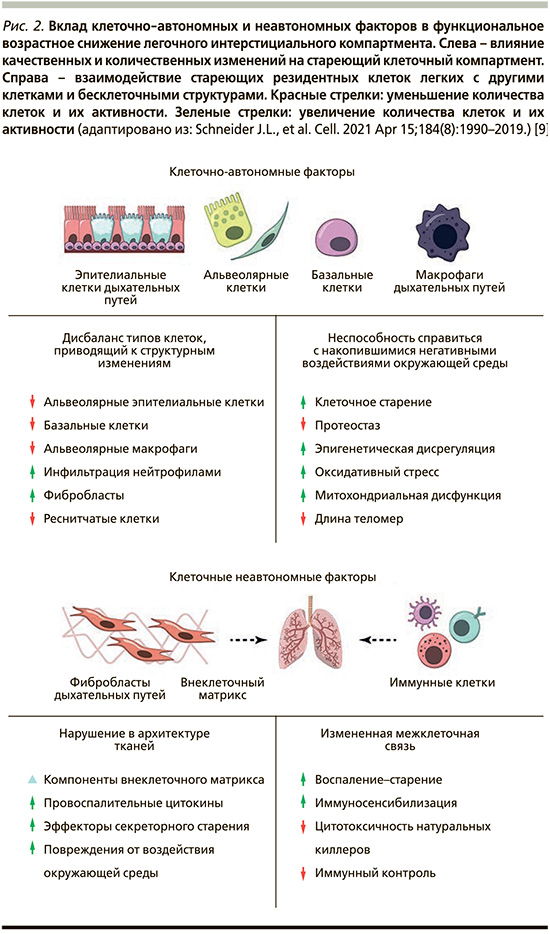 110-1.jpg (179 KB)