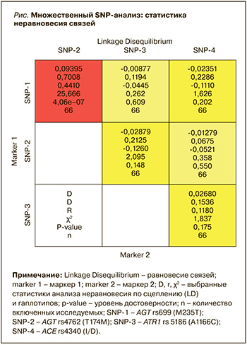 44-2.jpg (68 KB)