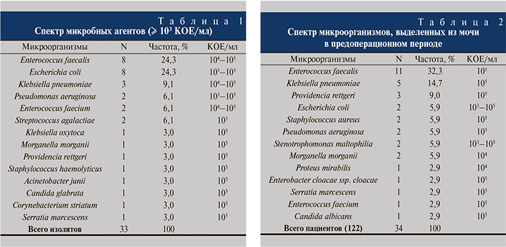 06-1.jpg (102 KB)