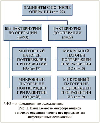 07-1.jpg (71 KB)