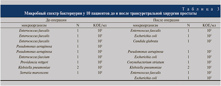 08-2.jpg (65 KB)