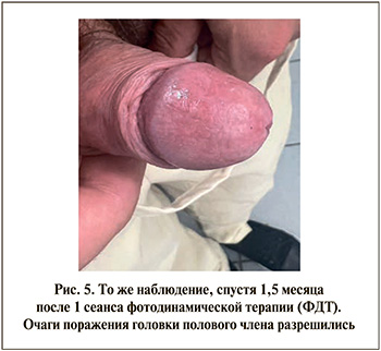 58-1.jpg (37 KB)