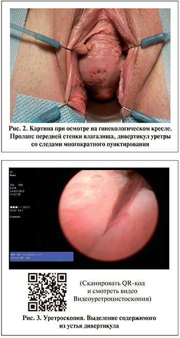 66-2.jpg (89 KB)