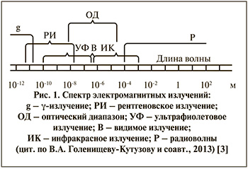 109-1.jpg (36 KB)